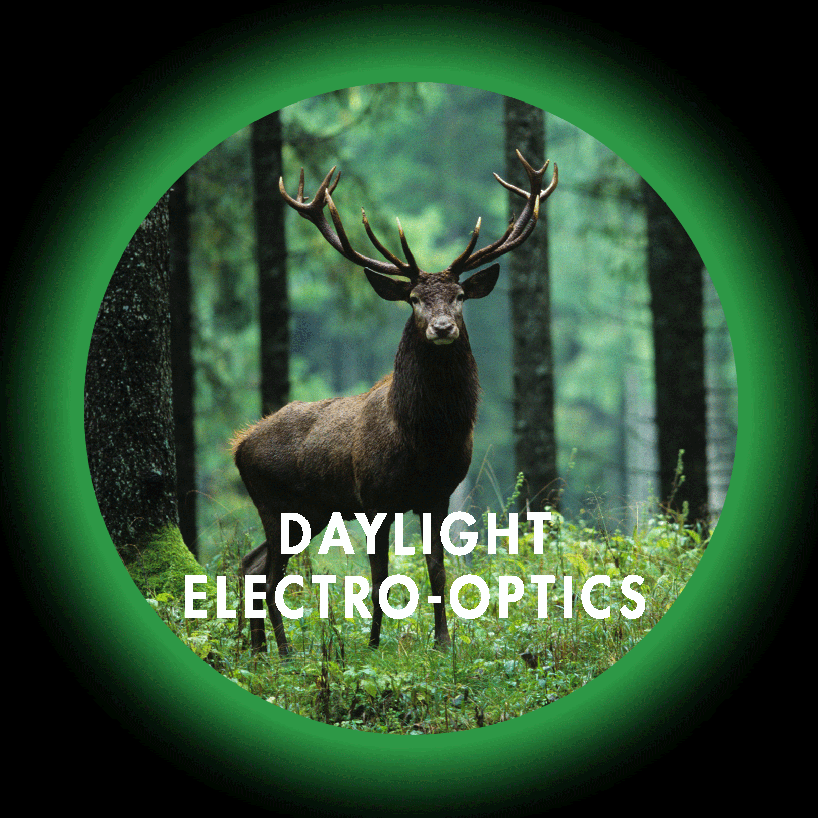 Daylight Electro-Optics