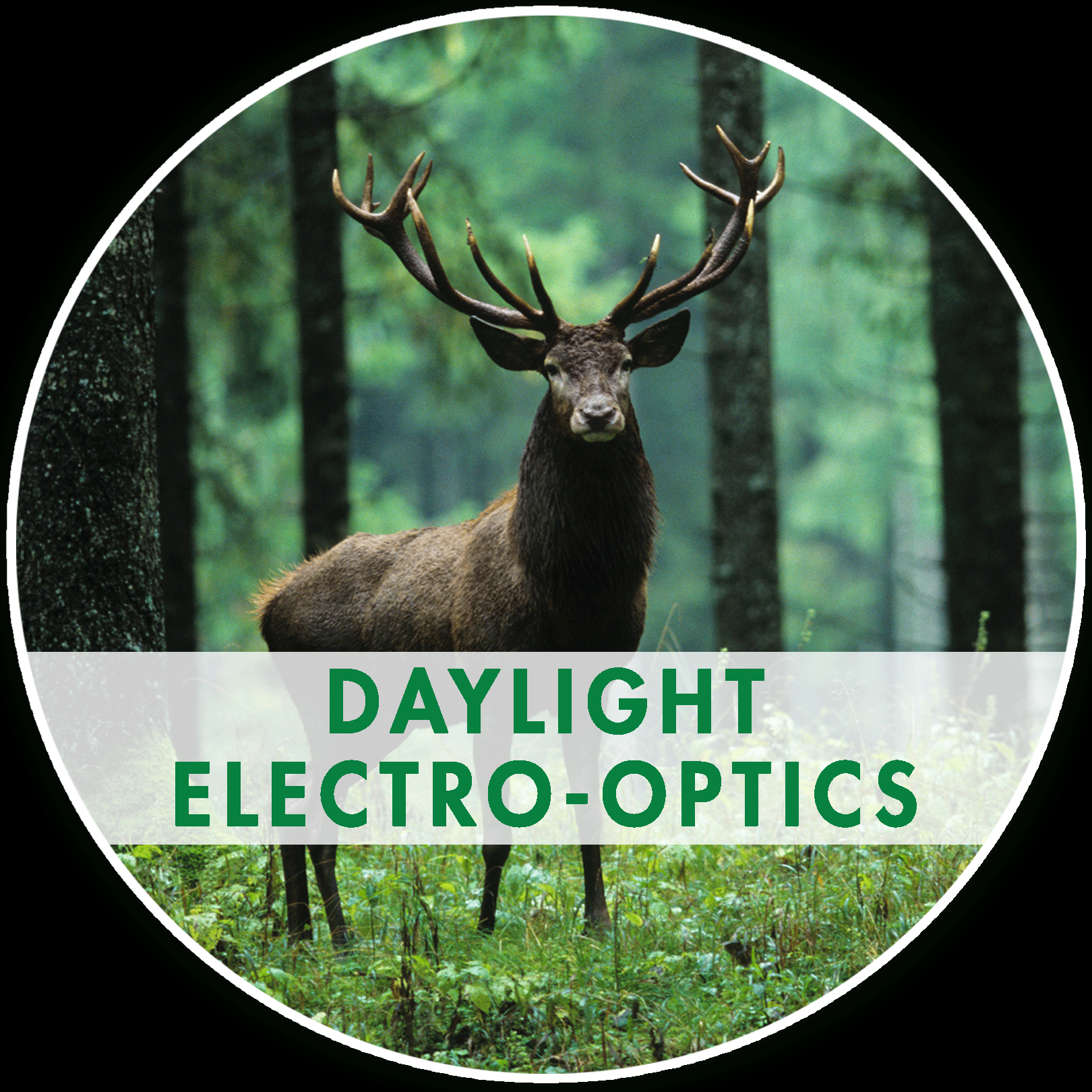 Daylight Electro-Optics